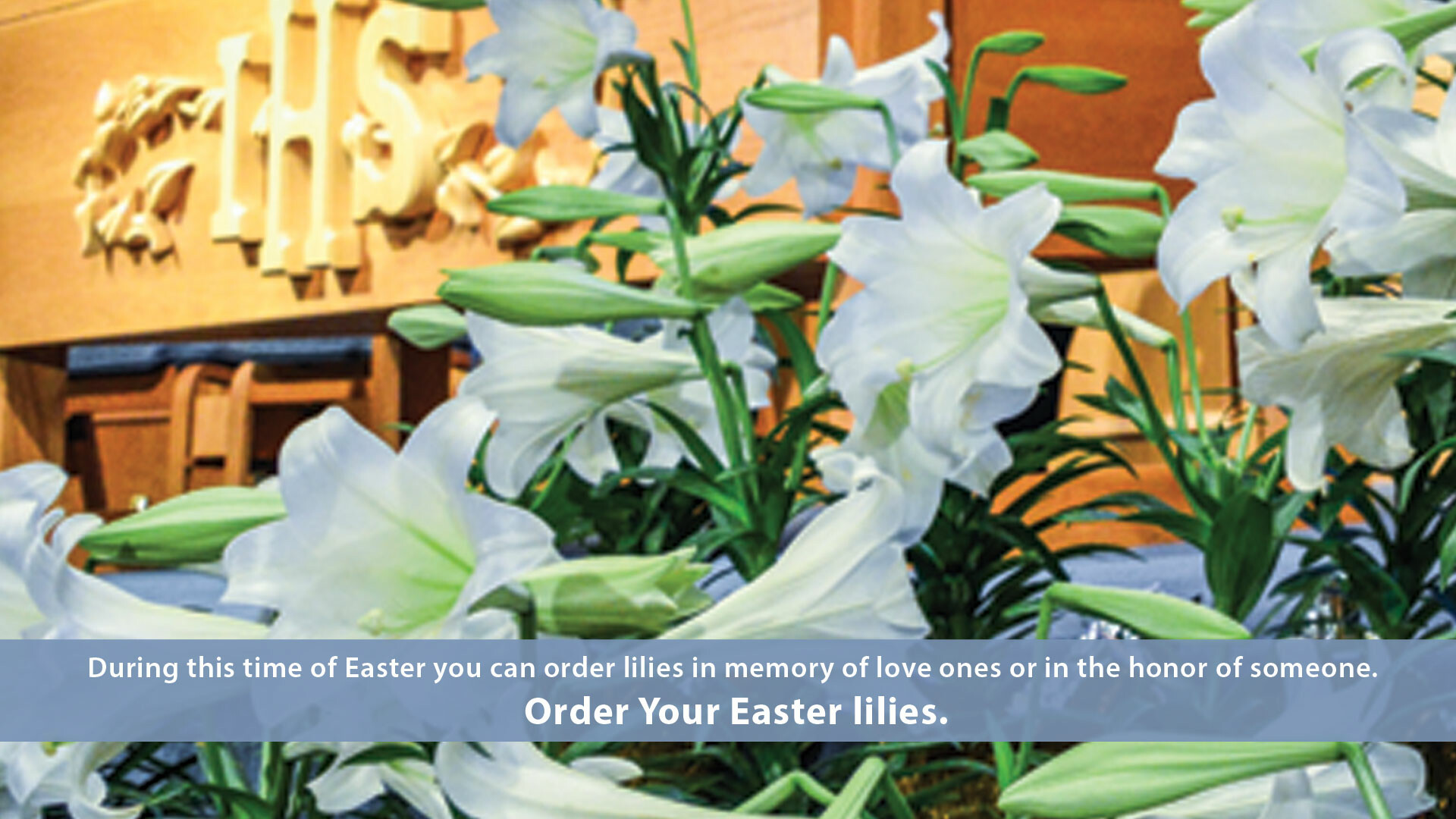 Order Your Easter Lilies