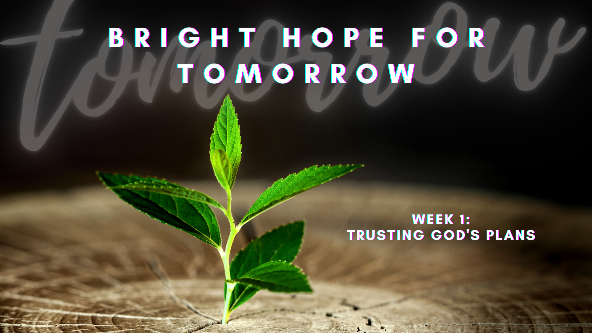 Trusting God's Plans (Audio) episode artwork