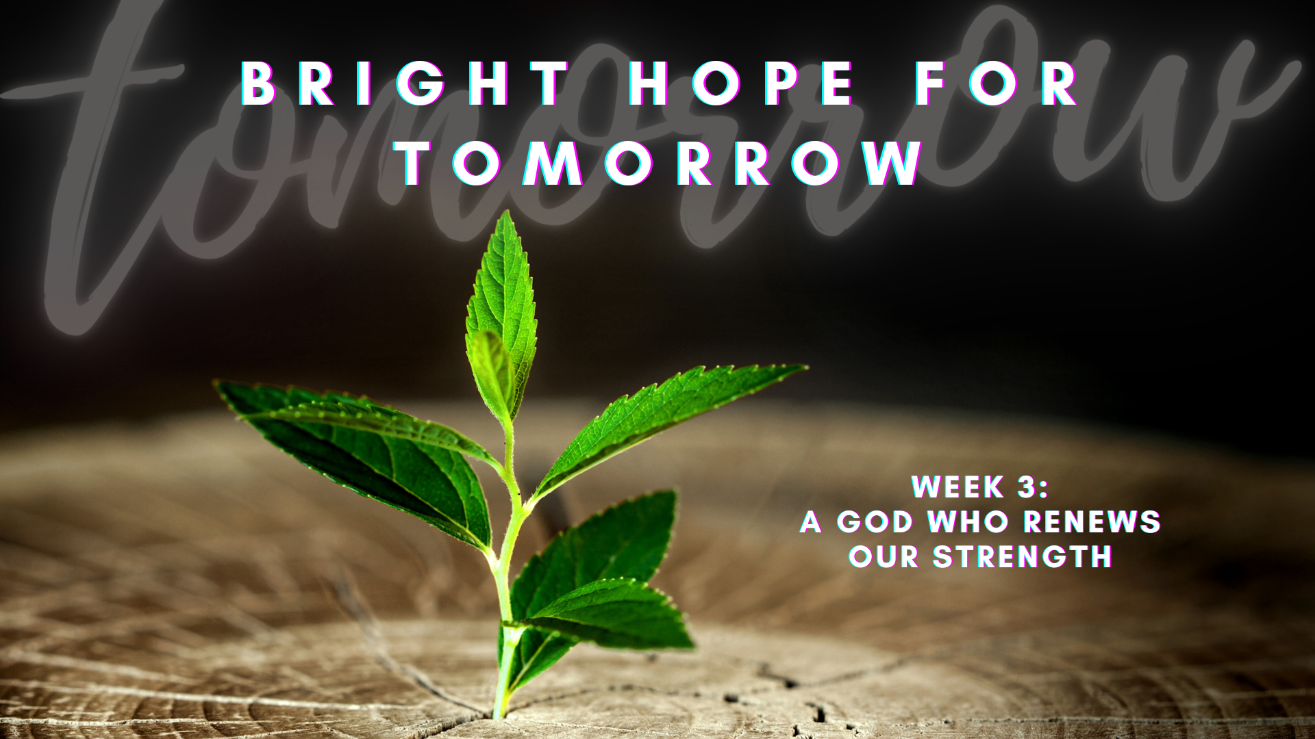 A God Who Renews Our Strength (Audio) episode artwork