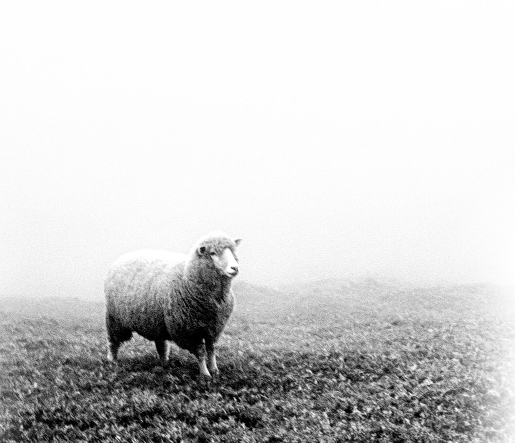 September 14, 2025 Founders Hall Sermon (Video)