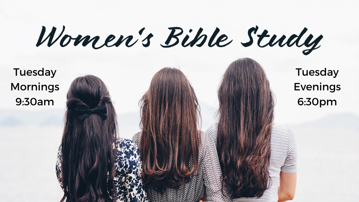 womens bible new 23