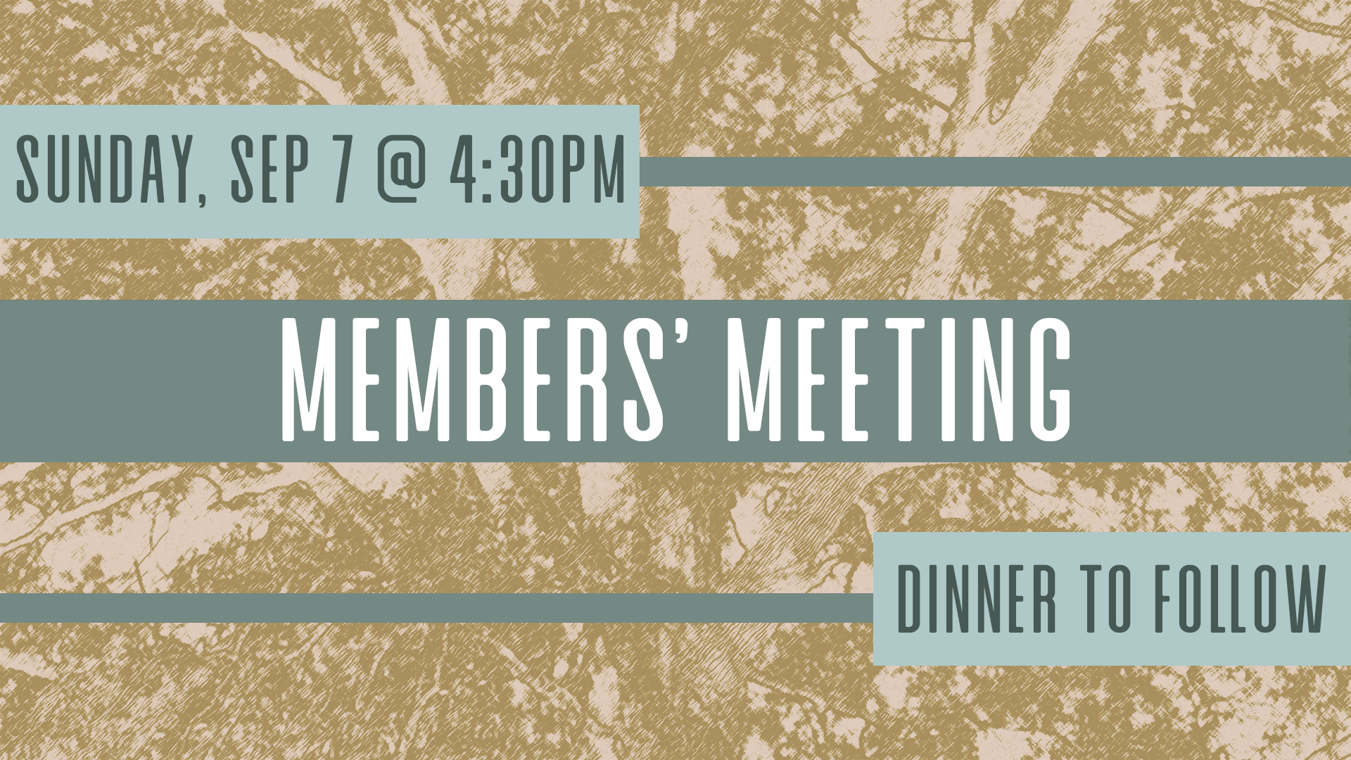 Members' Meeting