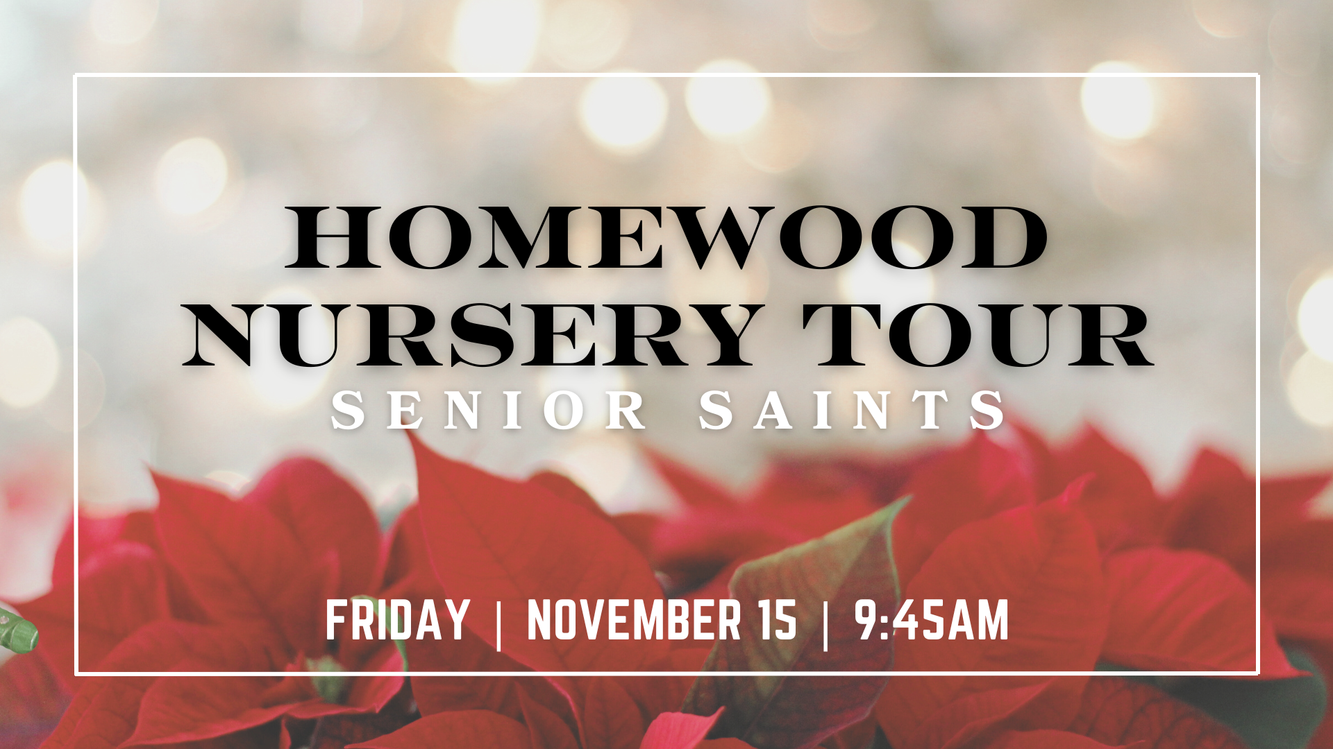 Senior Saints Homewood Nursery Tour