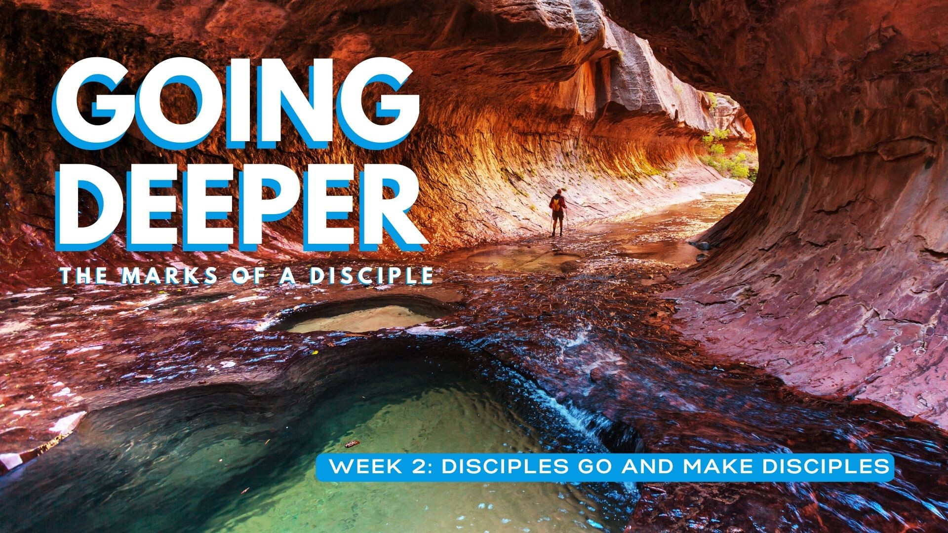 Disciples Go and Make Disciples (Audio) episode artwork