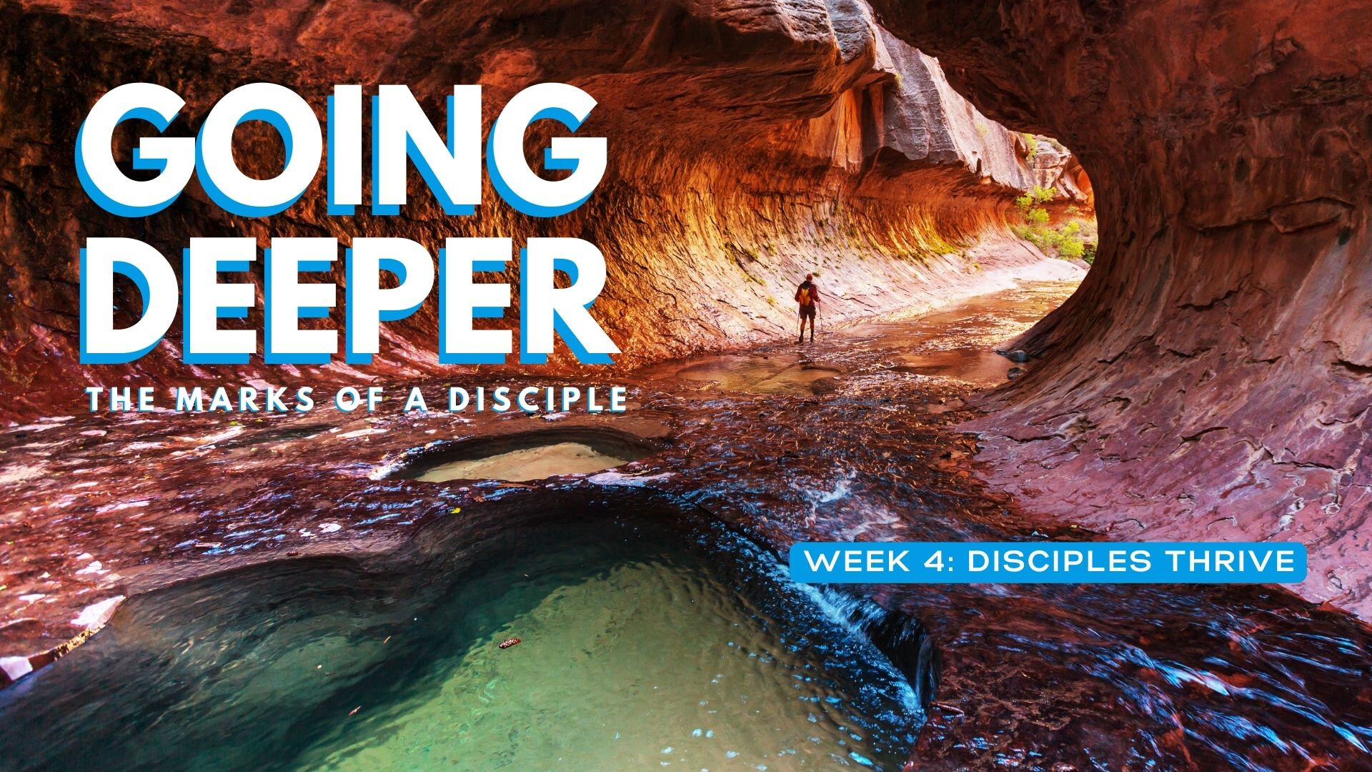 Disciples Thrive (Audio) episode artwork