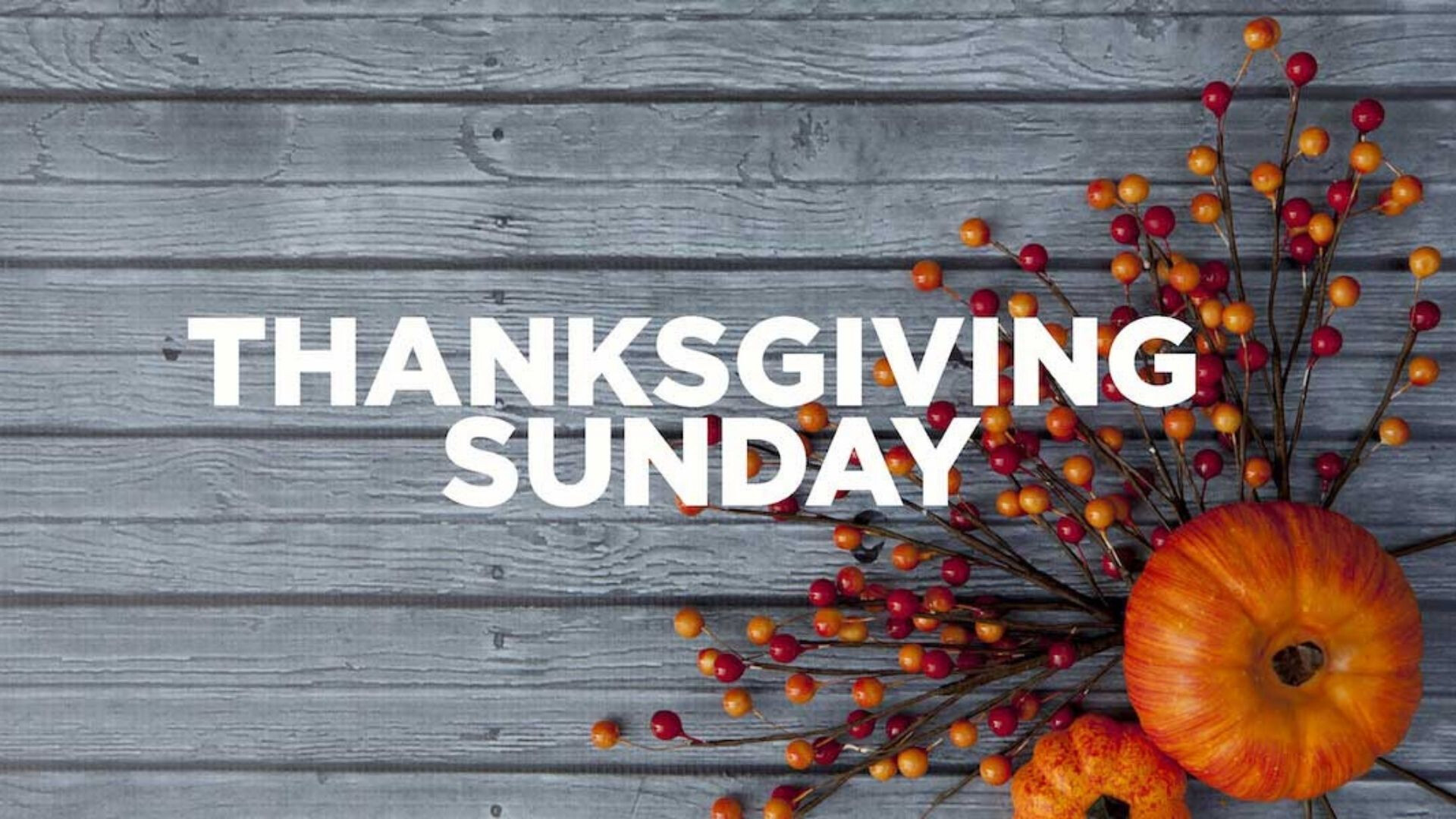 Searching for Thanksgiving (Audio) episode artwork