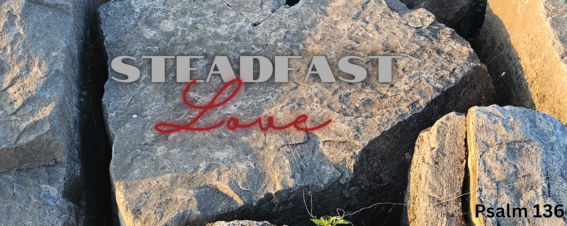 Steadfast Love