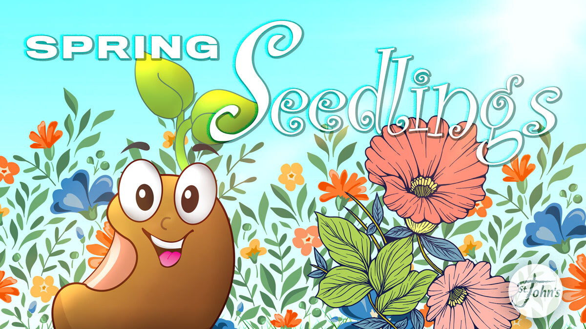 Seedlings Spring Session