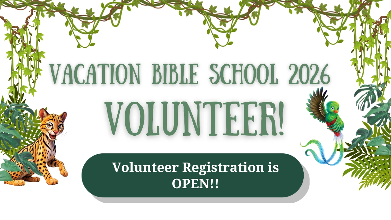 VBS 2026 Rainforest Falls