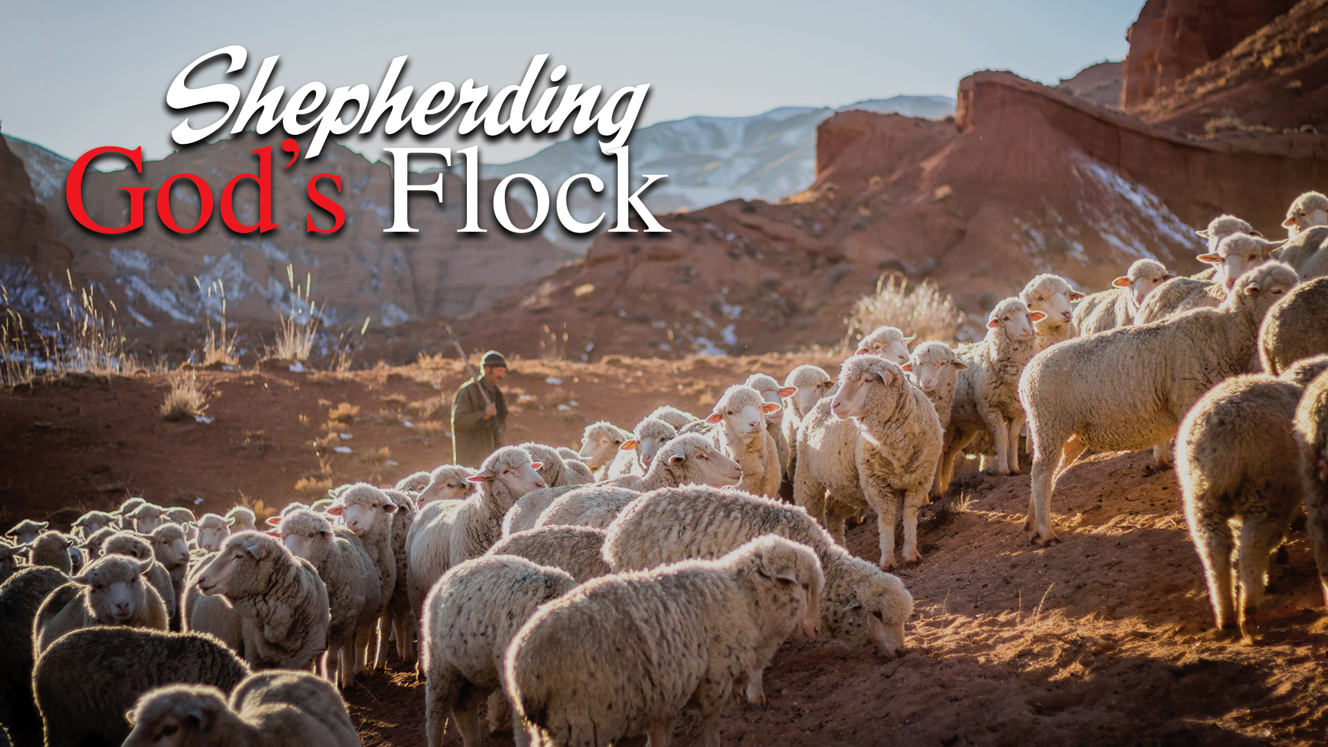 Shepherding God's Flock