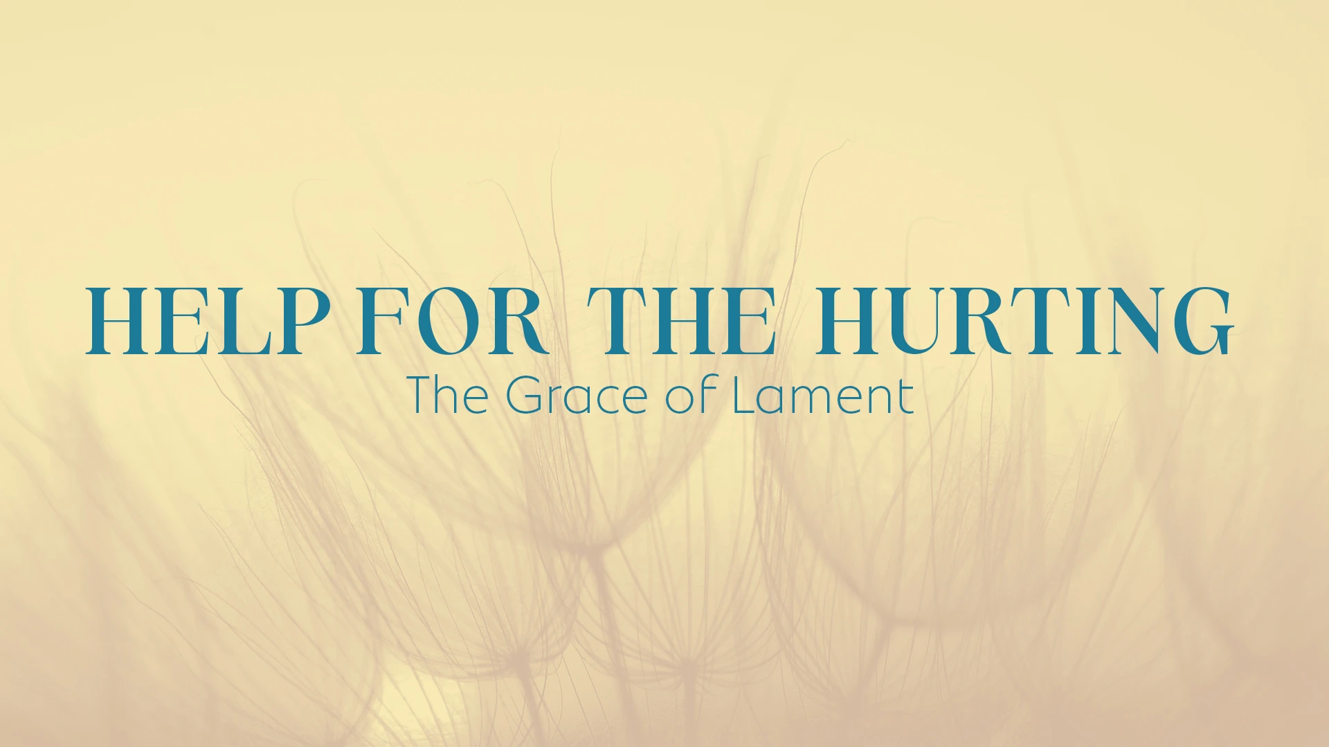 Help for the Hurting: The Grace of Lament