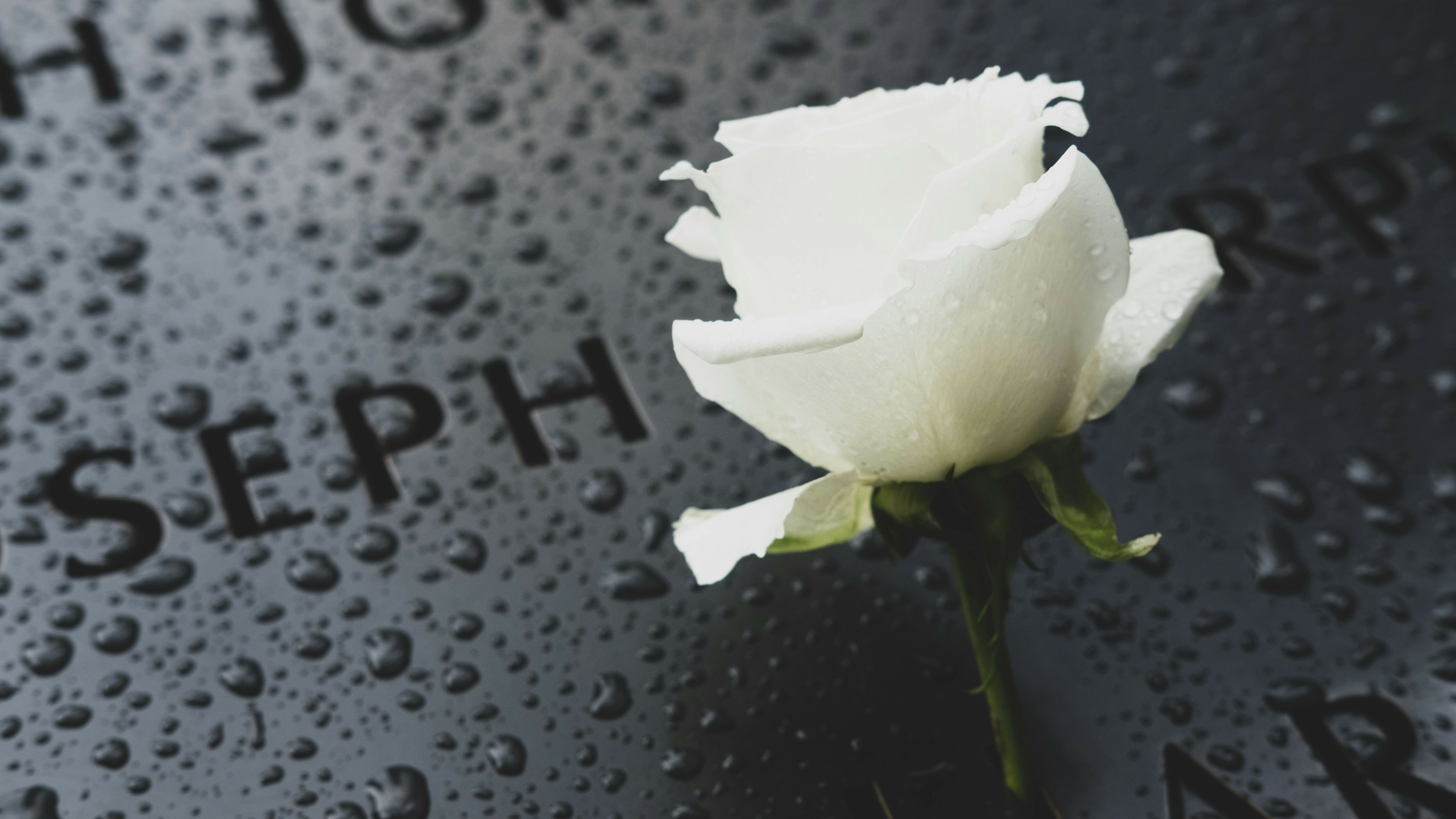 God With Us in the Quiet Places