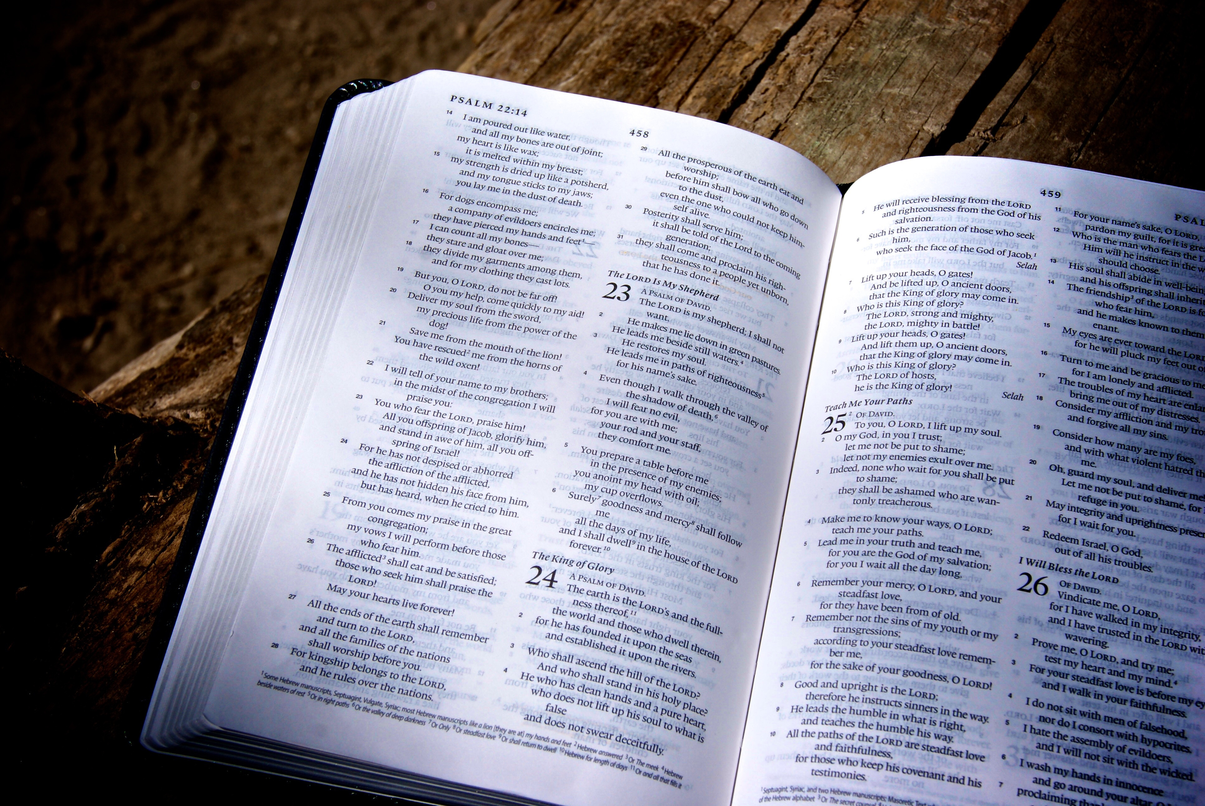 The Bible by Numbers