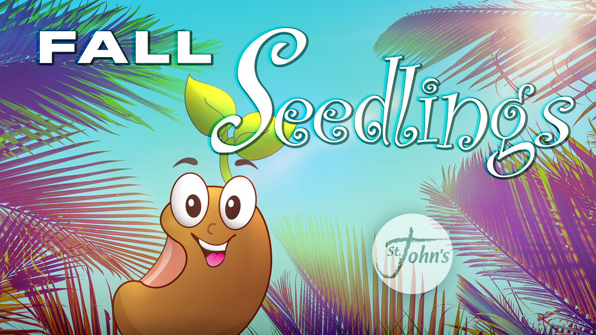 Seedlings Fall Session