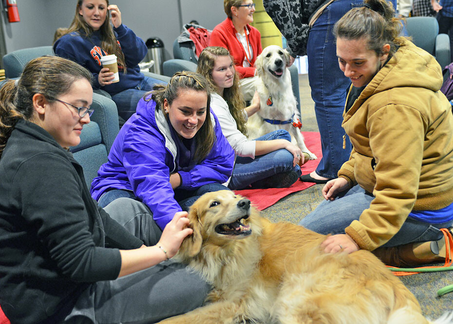 Furry friends ease stress of studies