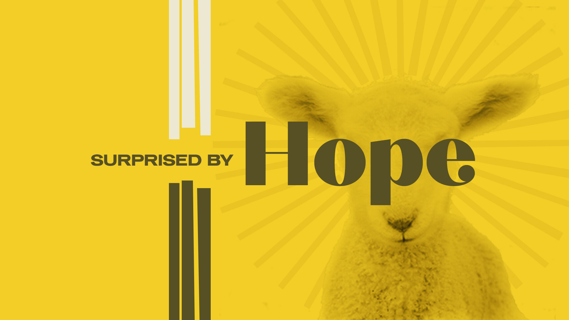Surprised by Hope (Easter 2022) (Video) episode artwork