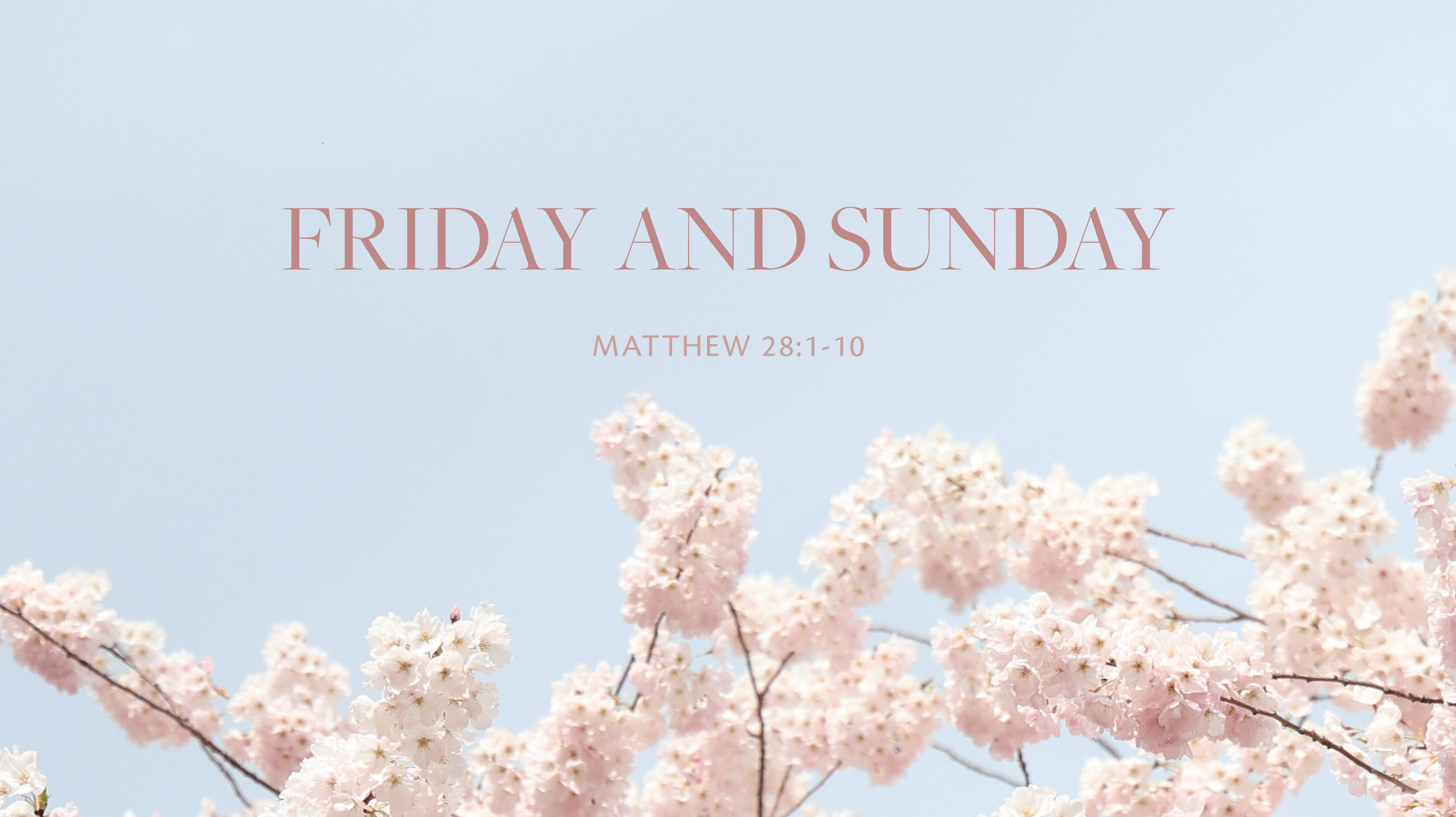 Friday and Sunday (Audio) episode artwork