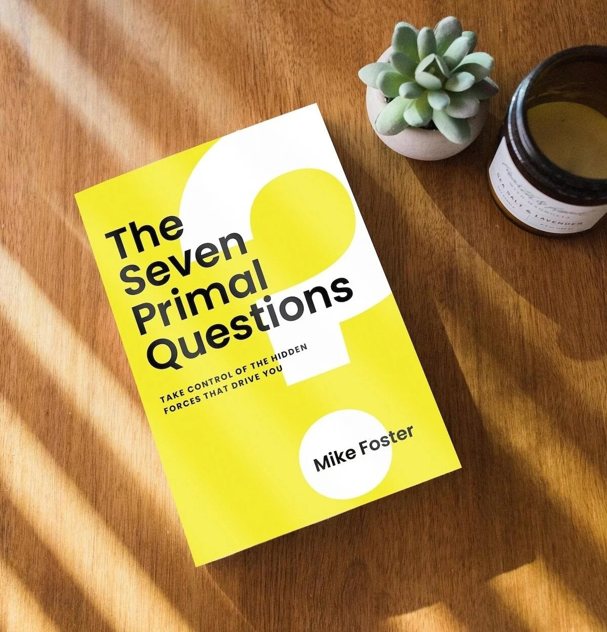 The Seven Primal Questions book by Mark Foster