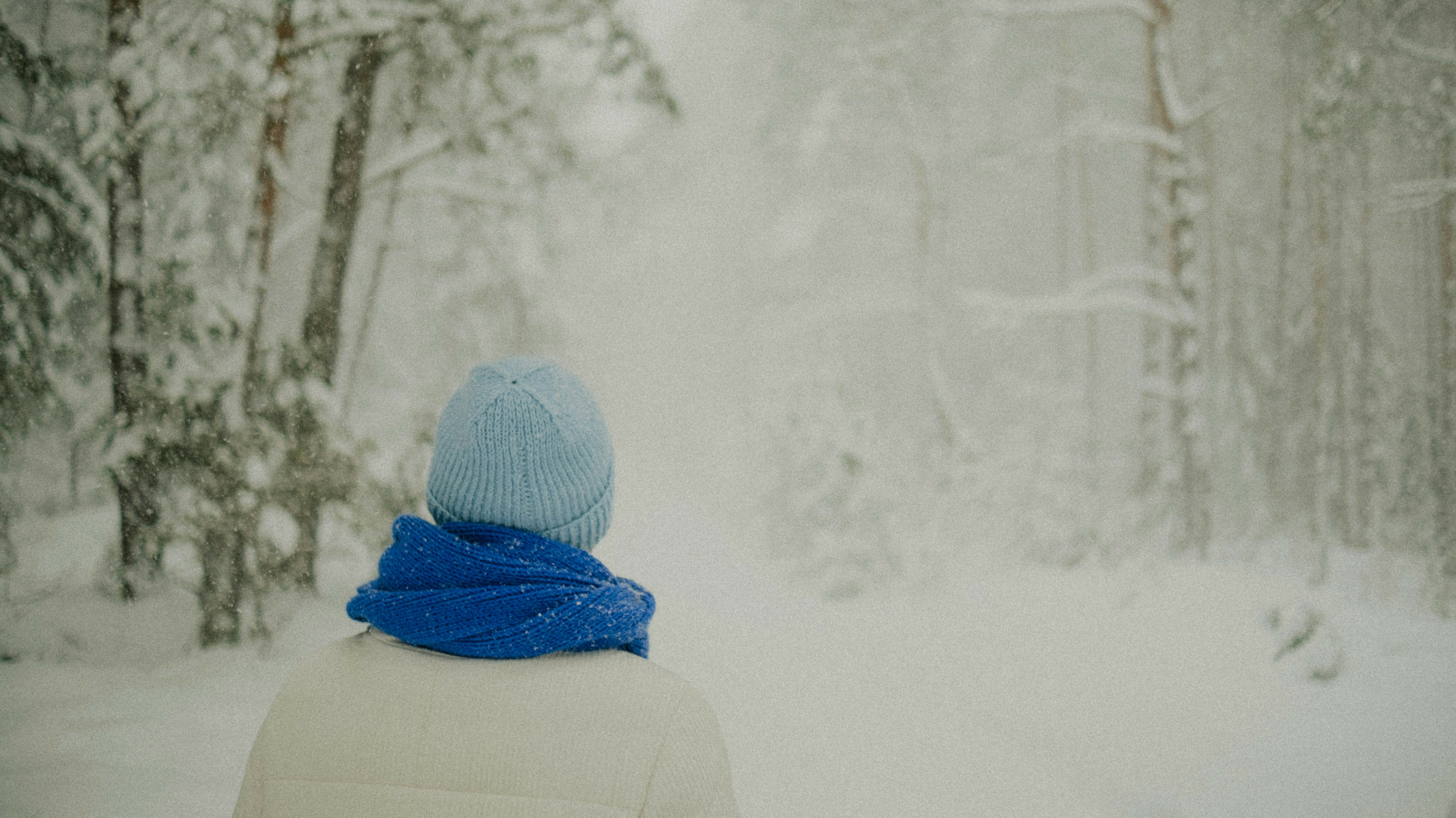 Snow, Ashes, and the Repentance of David