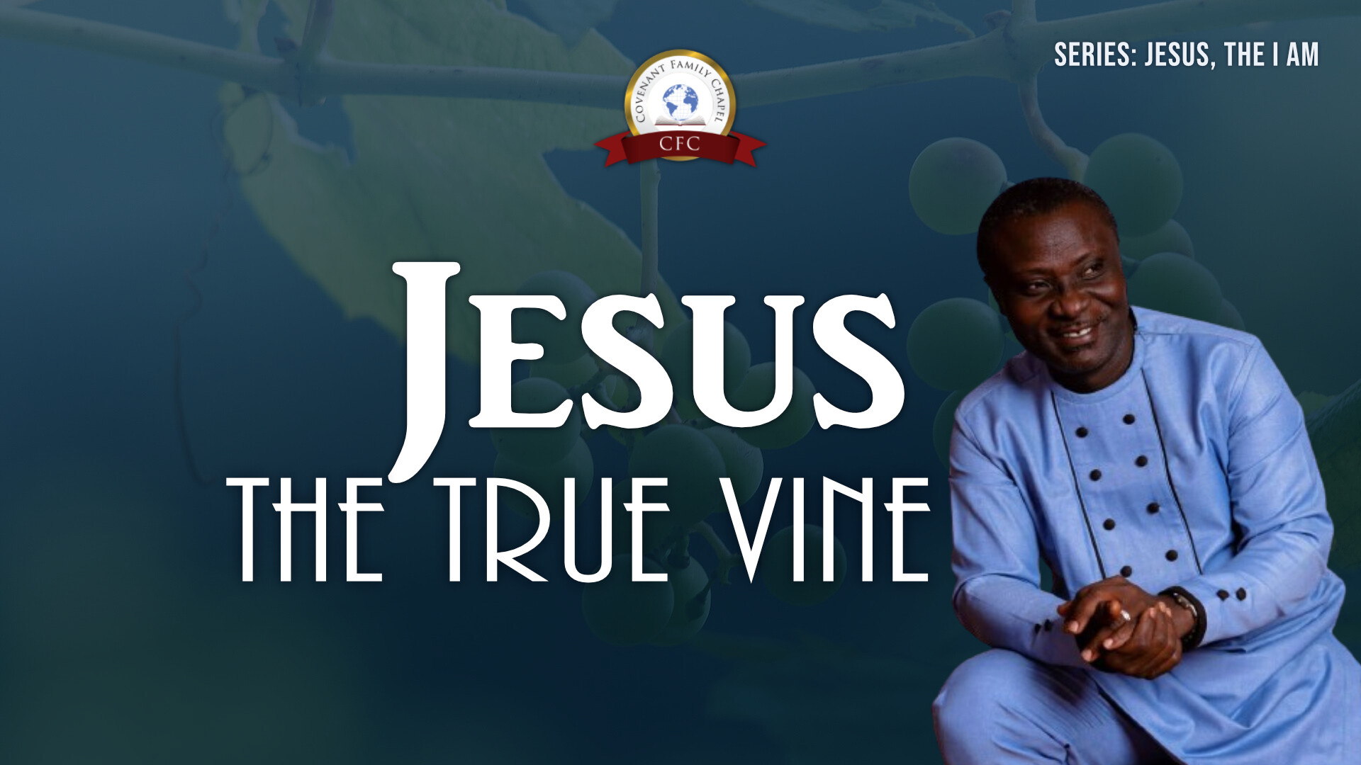 JESUS, the True Vine