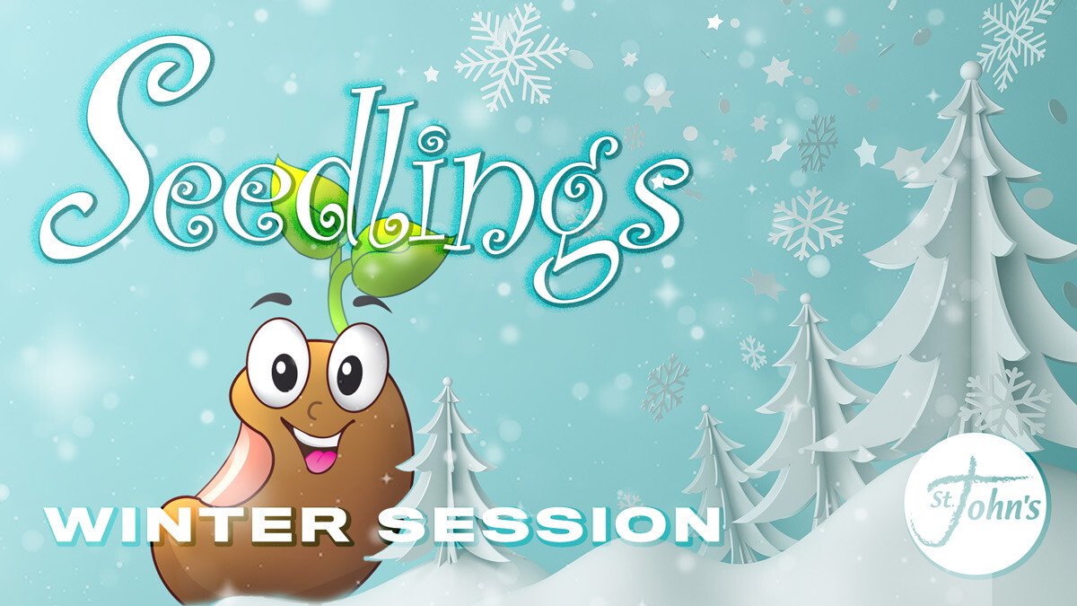 Seedlings Winter Session