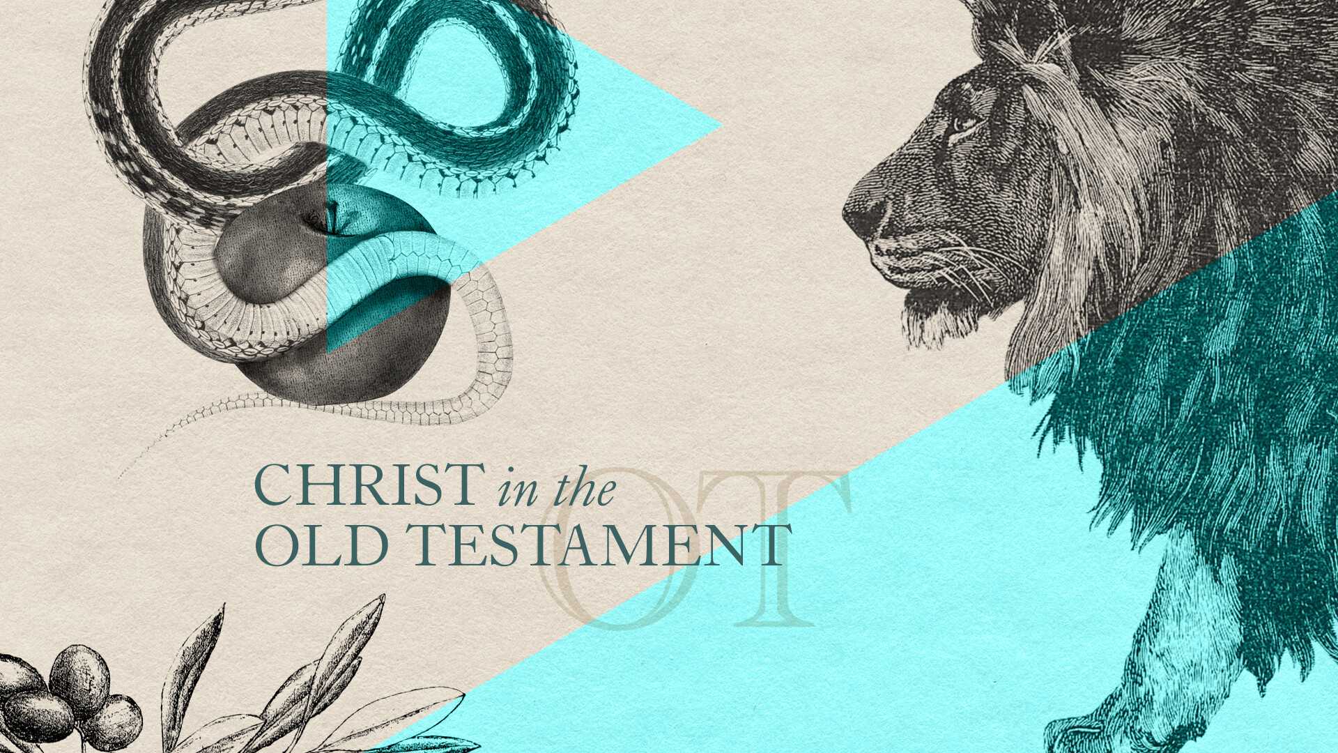 Christ in the Old Testament Part 3 (Video) episode artwork