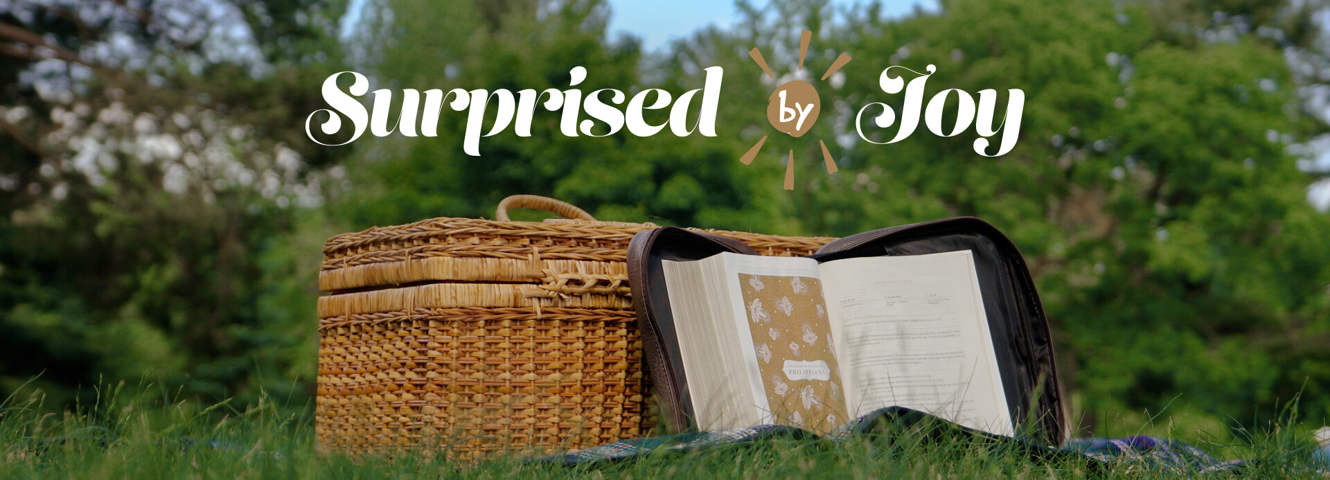Surprised by Joy