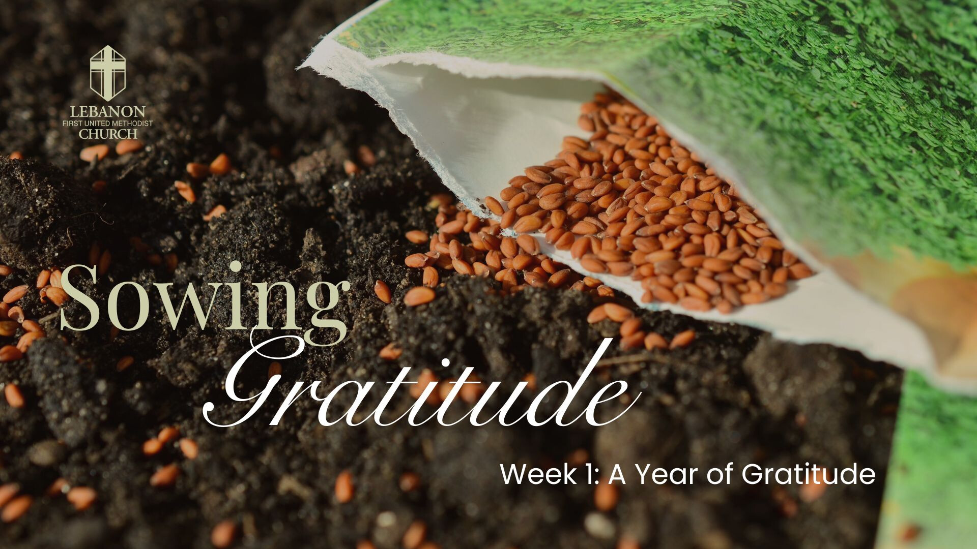 A Year of Gratitude (Audio) episode artwork