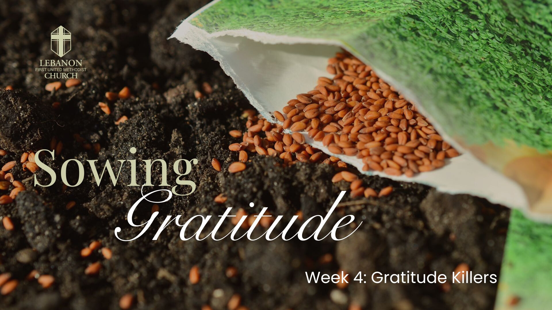 Gratitude Killers (Audio) episode artwork