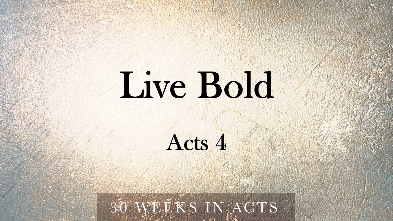 Live Bold