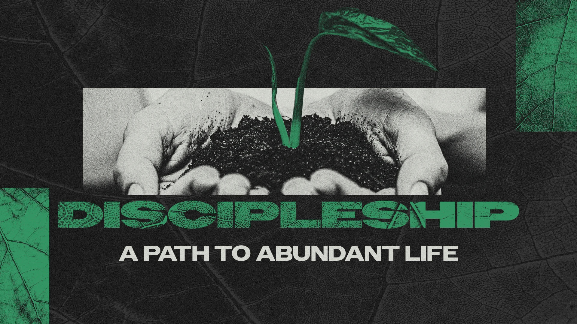 Active Dependence (Audio) episode artwork