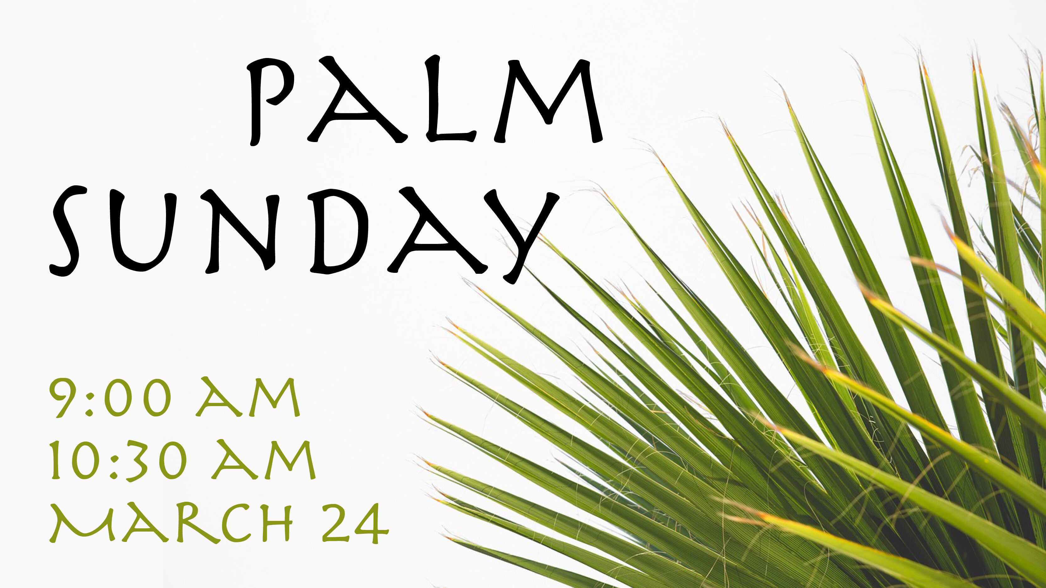 Palm Sunday Worship - March 24, 2024