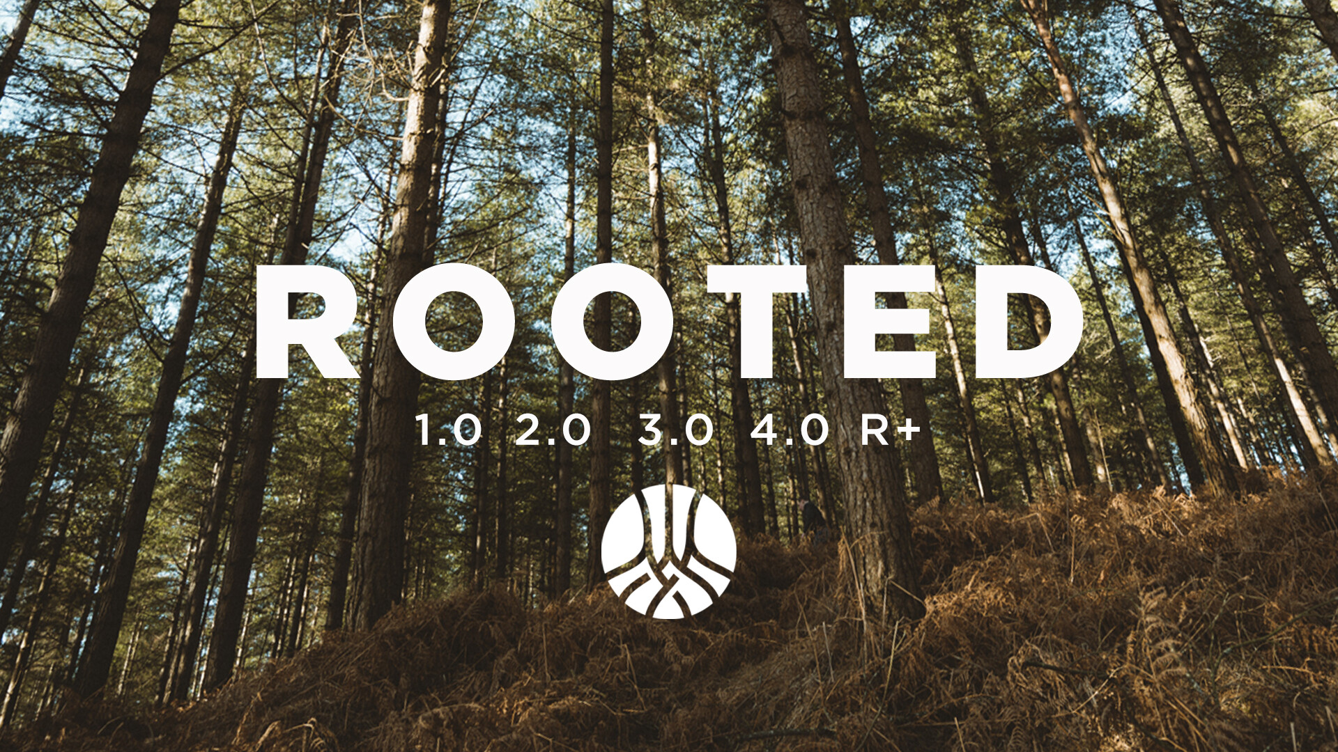 Rooted Spring 2024