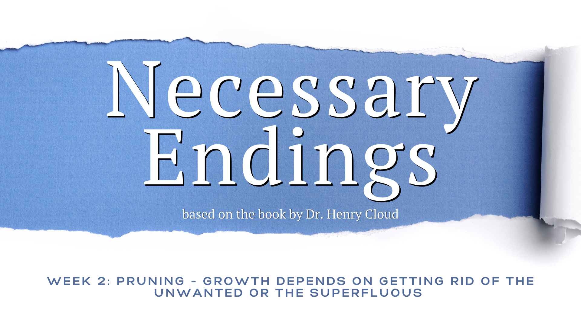 Pruning - Growth Depends on Getting Rid of the Unwanted or the Superfluous (Audio) episode artwork