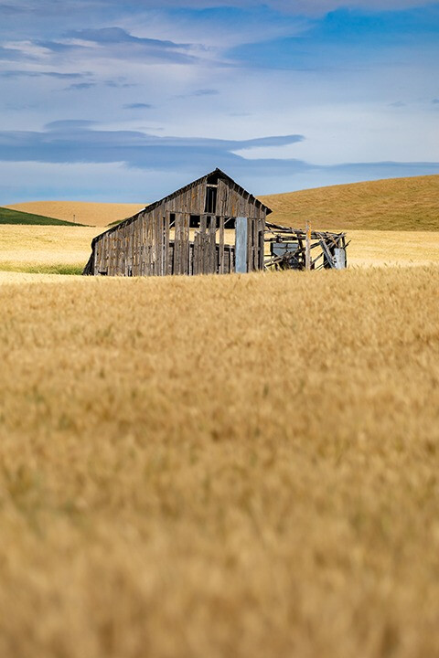 August 3, 2025 Sanctuary Sermon (Video)