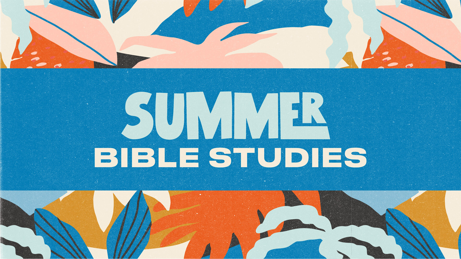 Summer Bible Studies