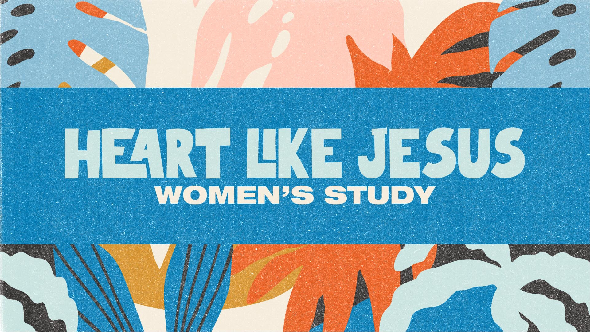 Summer Bible Study Graphic