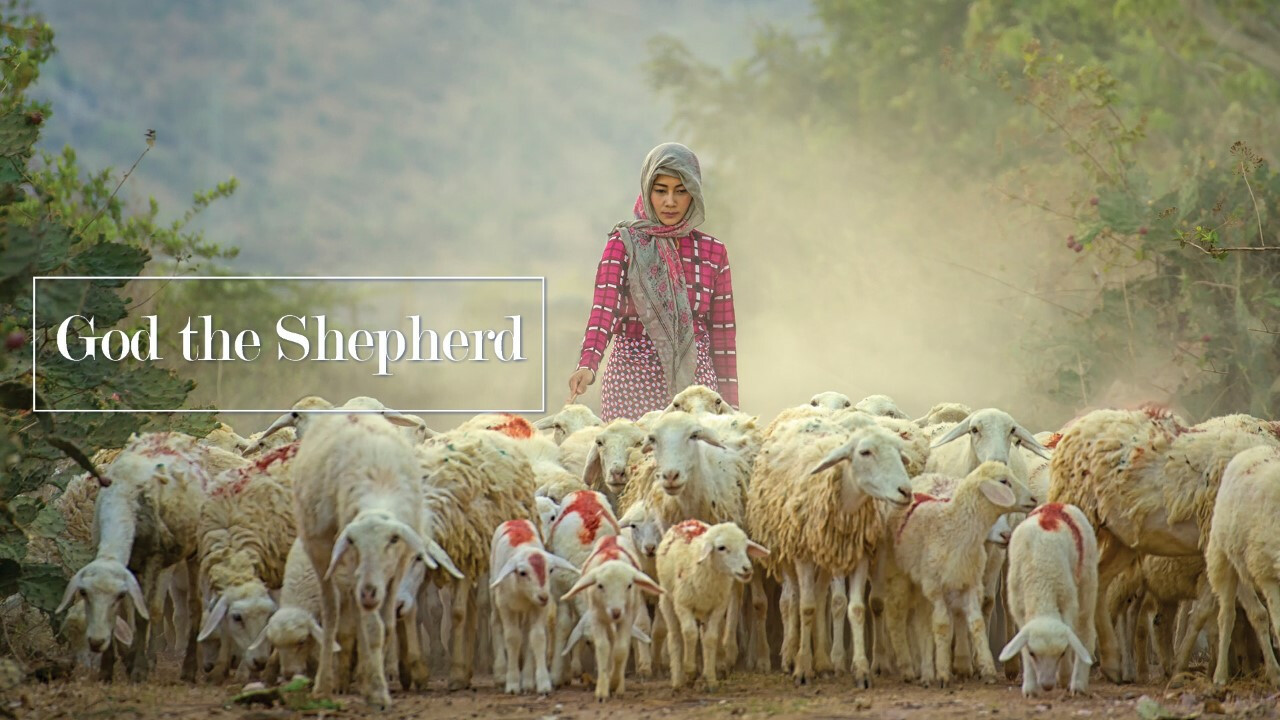 God the Shepherd