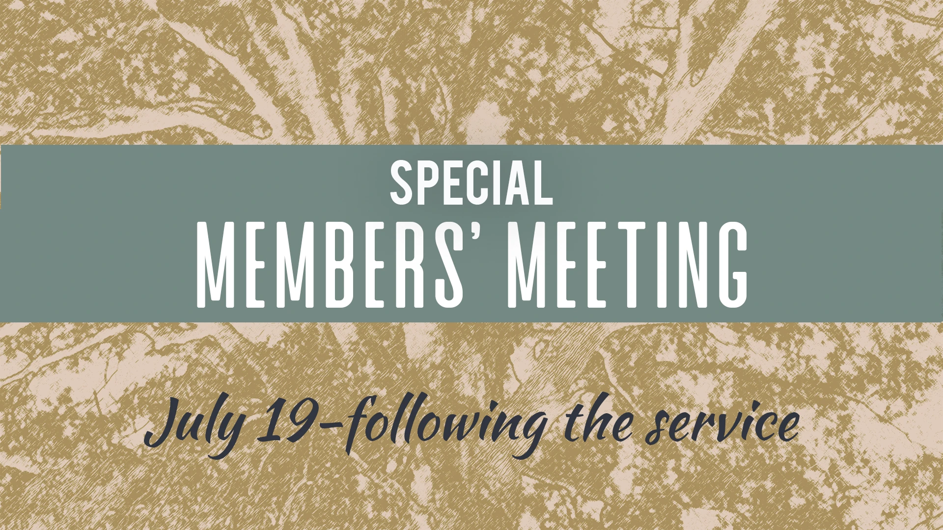 Special Members' Meeting