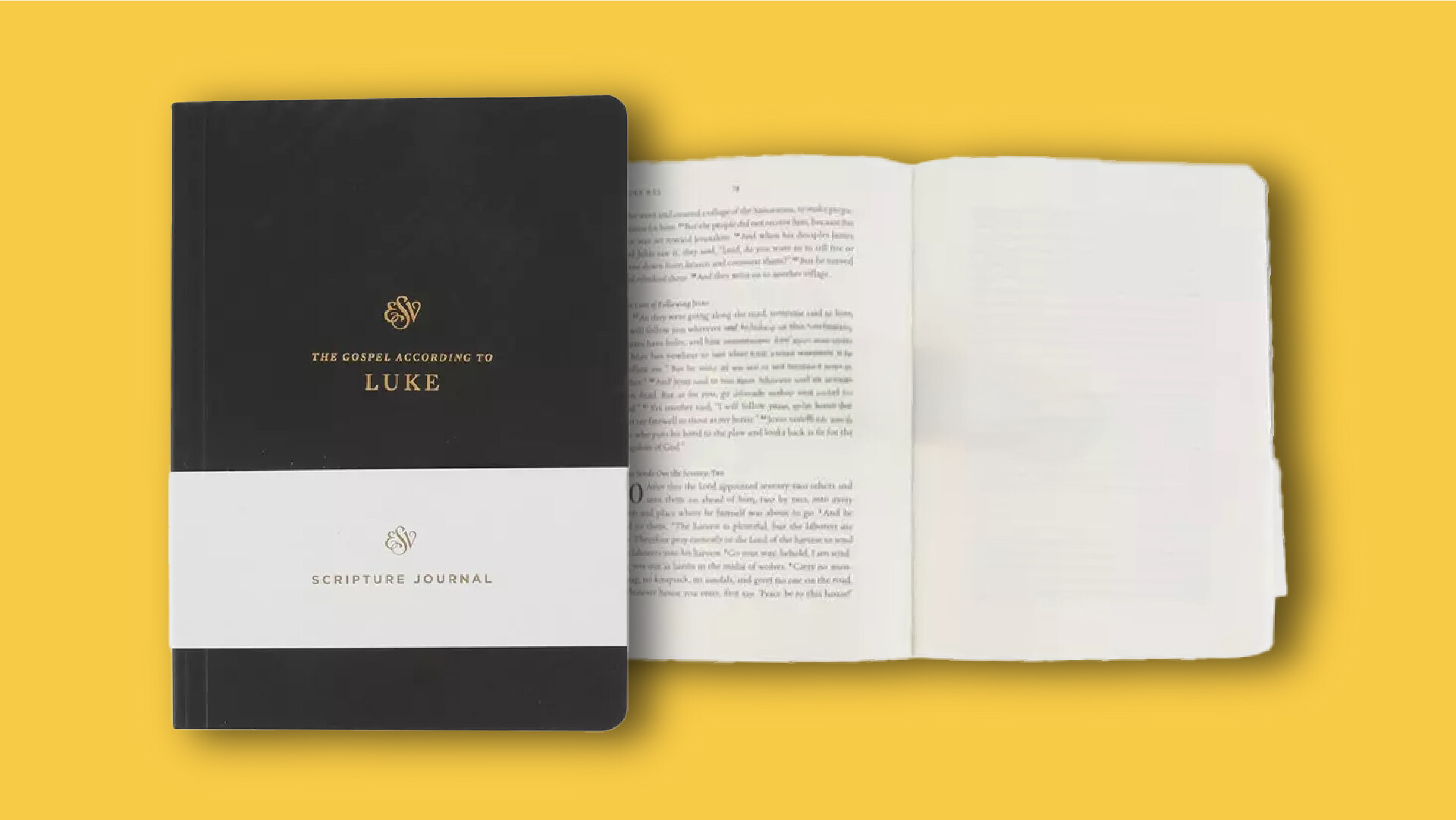 Luke Study Journal