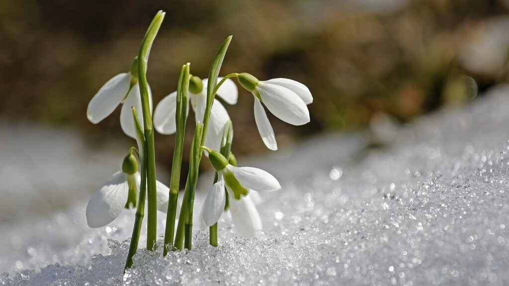 Awake to New Life