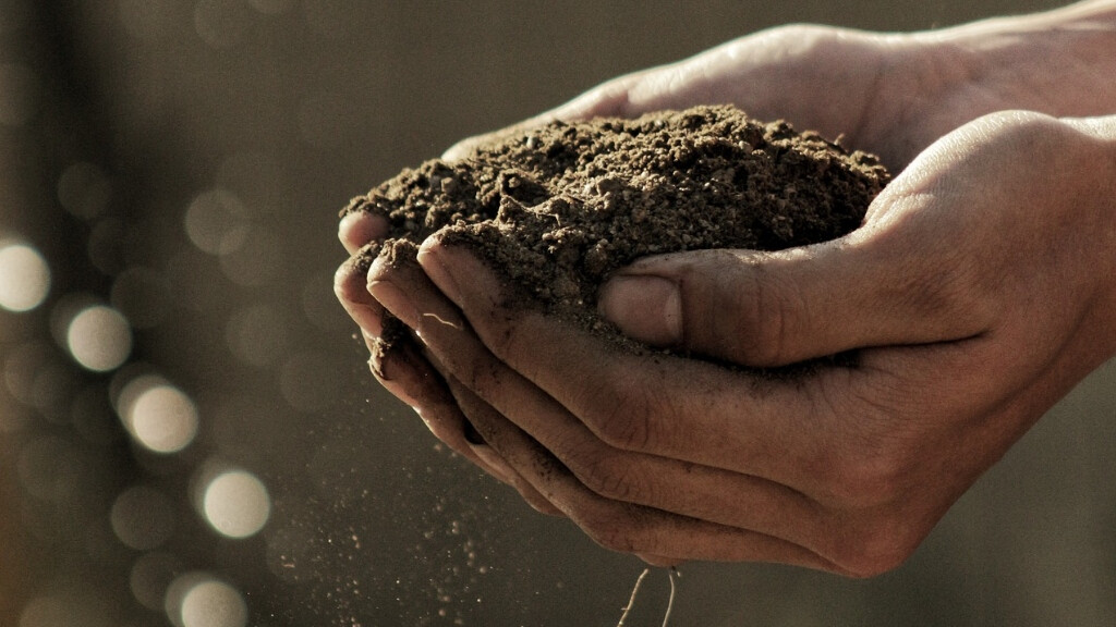 Meditations of a Gardener: Part 1