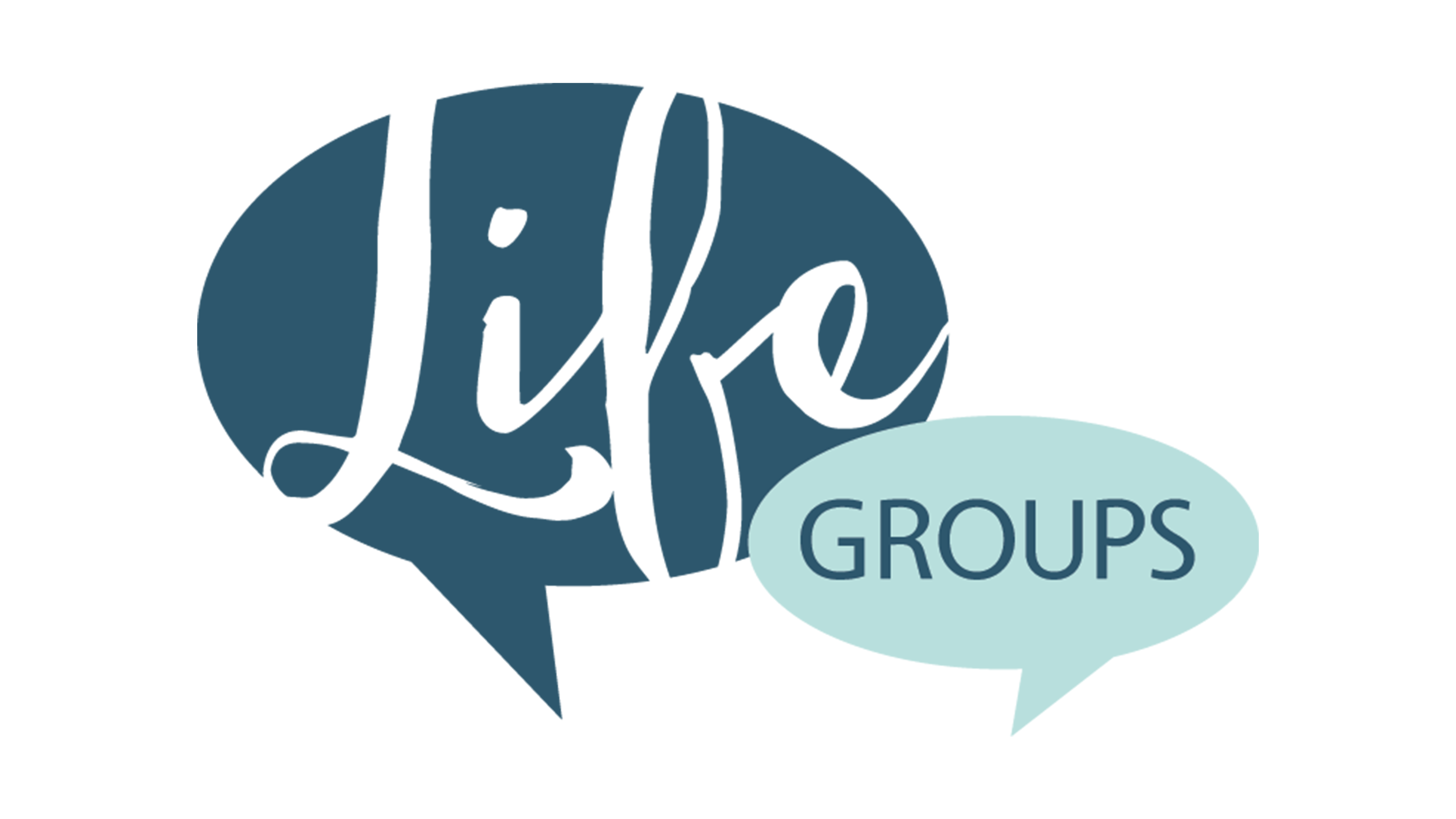 What's the Point? Ecclesiastes LifeGroup guides JunJul 2022