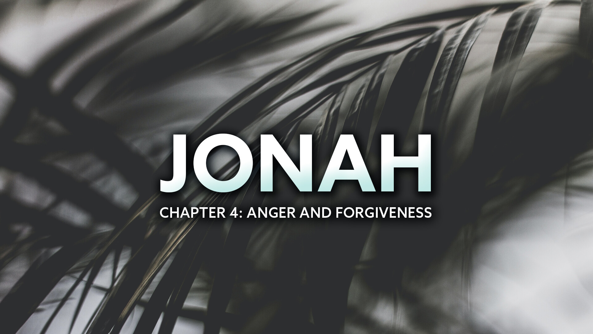 Jonah: Jonah Complains, Chapter 4 (Audio) episode artwork