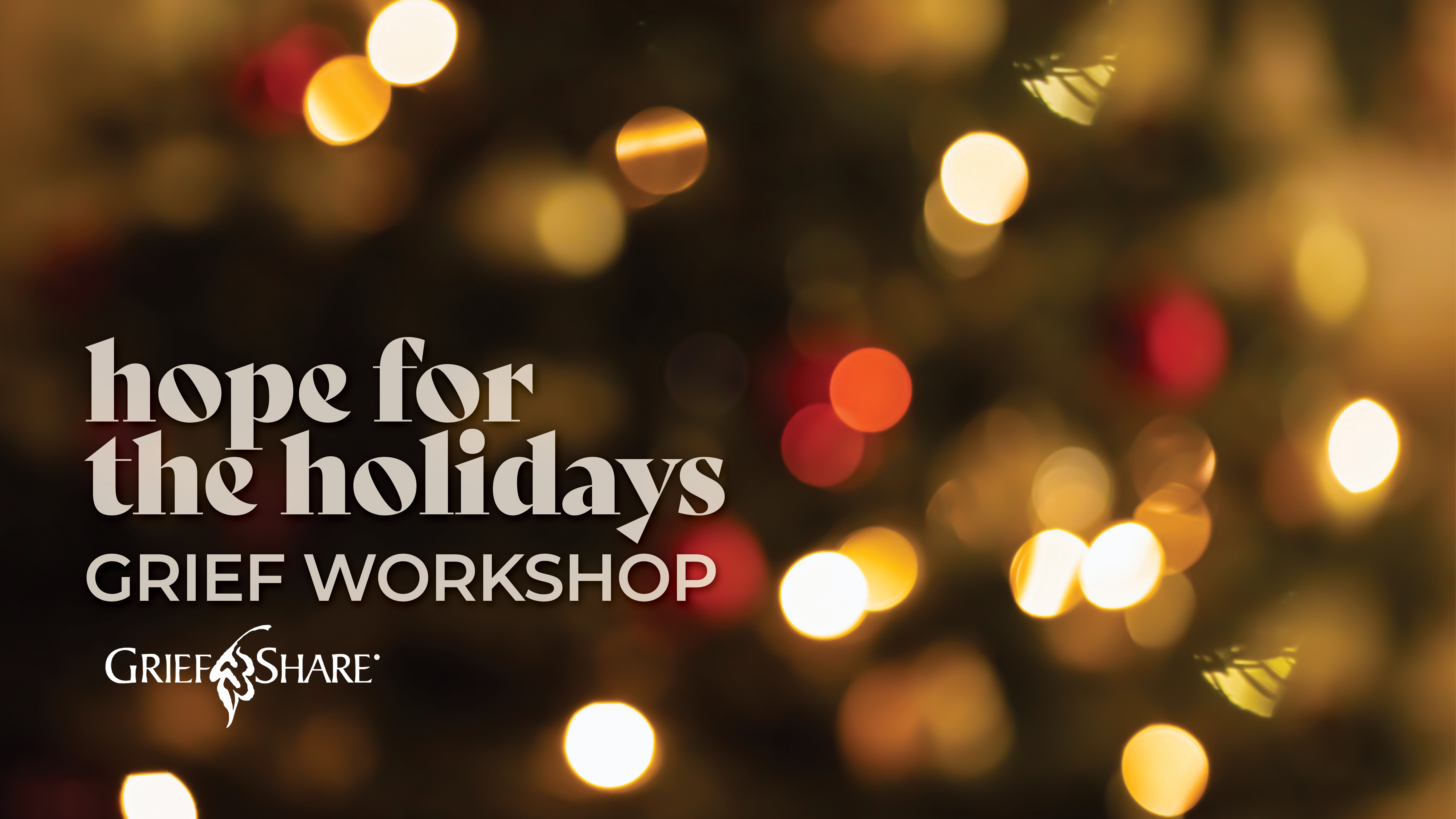 Hope for the Holidays Grief Workshop
