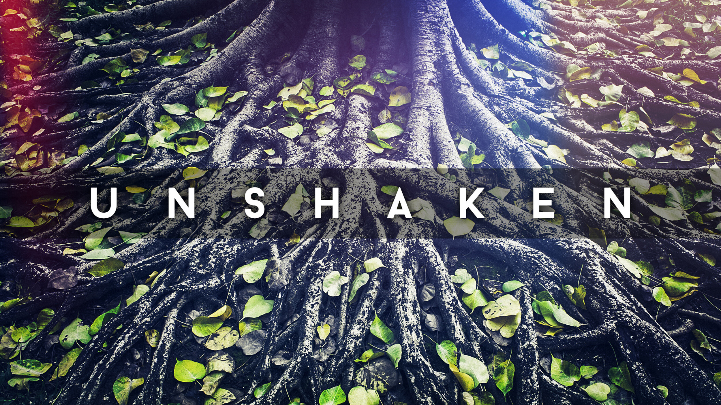 Unshaken by Intimidation episode artwork
