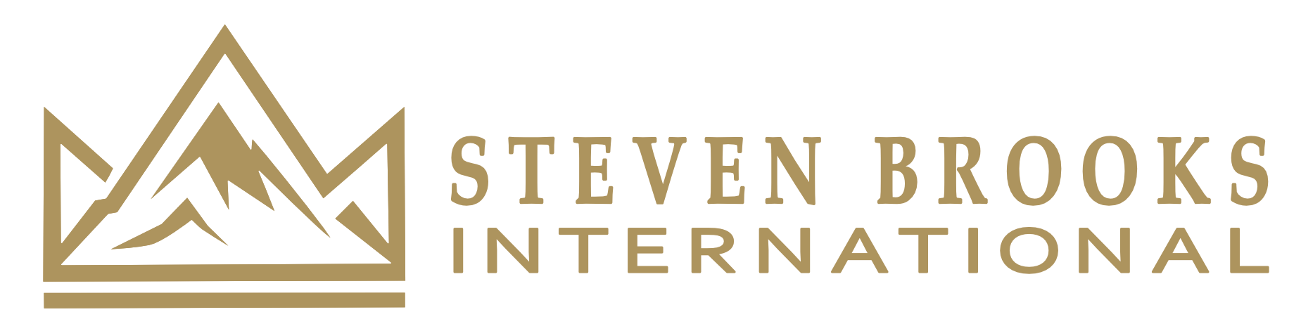 Steven Brooks International