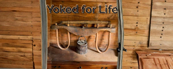Yoked for Life