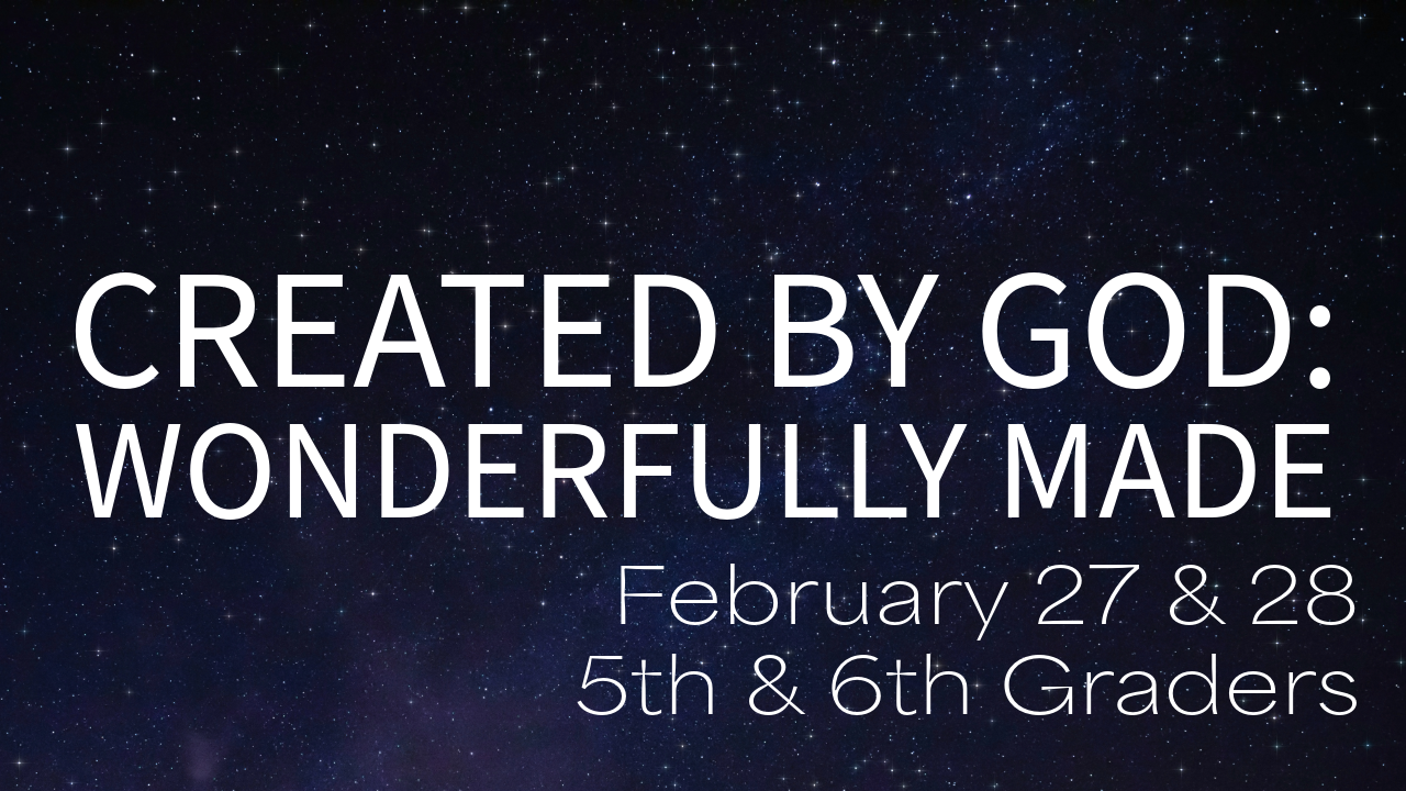 Created by God: Wonderfully Made