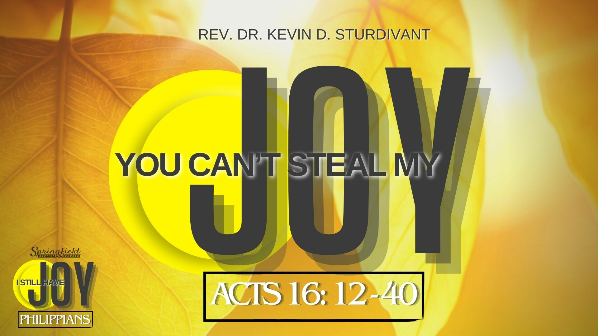 You Can't Steal My Joy